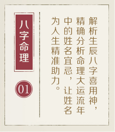 沈丘起名流程一